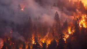 Ways to take action and protect yourself from wildfire smoke